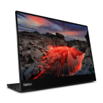 Lenovo ThinkVision M14t Gen 2 Touch*Portable Monitor USB-C 3Y